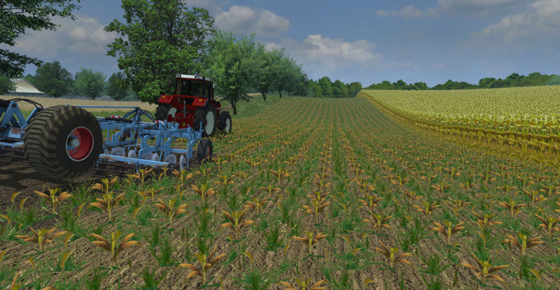 MAIZE IN ROWS V 2.0