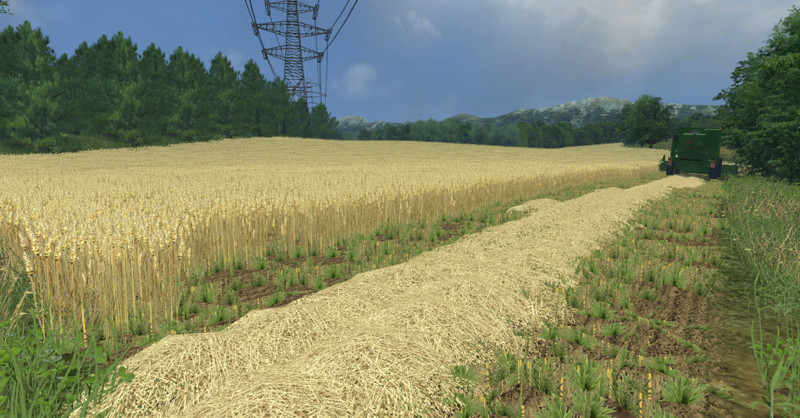 WHEAT, BARLEY AND RAPE TEXTURES V 1