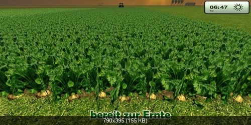 Sugarbeet textur HD